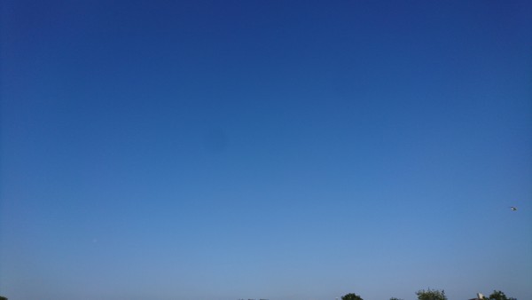 dsc_1027-1